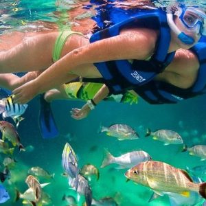5 Islas sports básico
