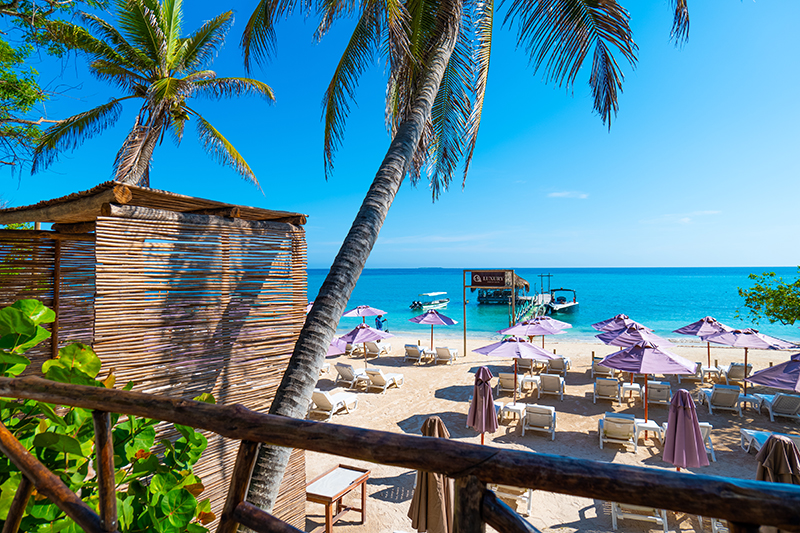 Luxury Beach - Imagen 3
