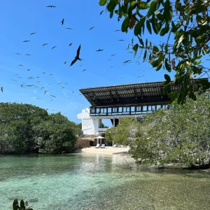 Top Islas